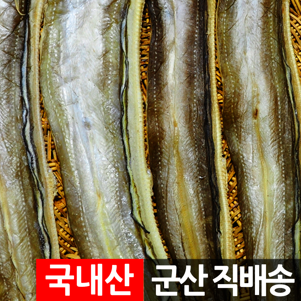 반건조 아나고 2~5마리 40-65cm