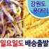 용대리 황태덕장 북어채 500g 1kg