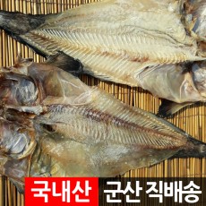 건조 물메기포 곰치 꼼치 물텀벙/국내산 군산항 직송