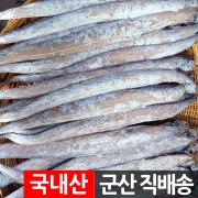 반건조 풀치 10~25마리 45~55cm 갈치새끼